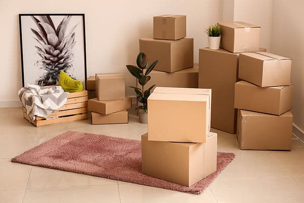 Neatly stacked moving boxes on a rug in a Boulder apartment ready for a small move